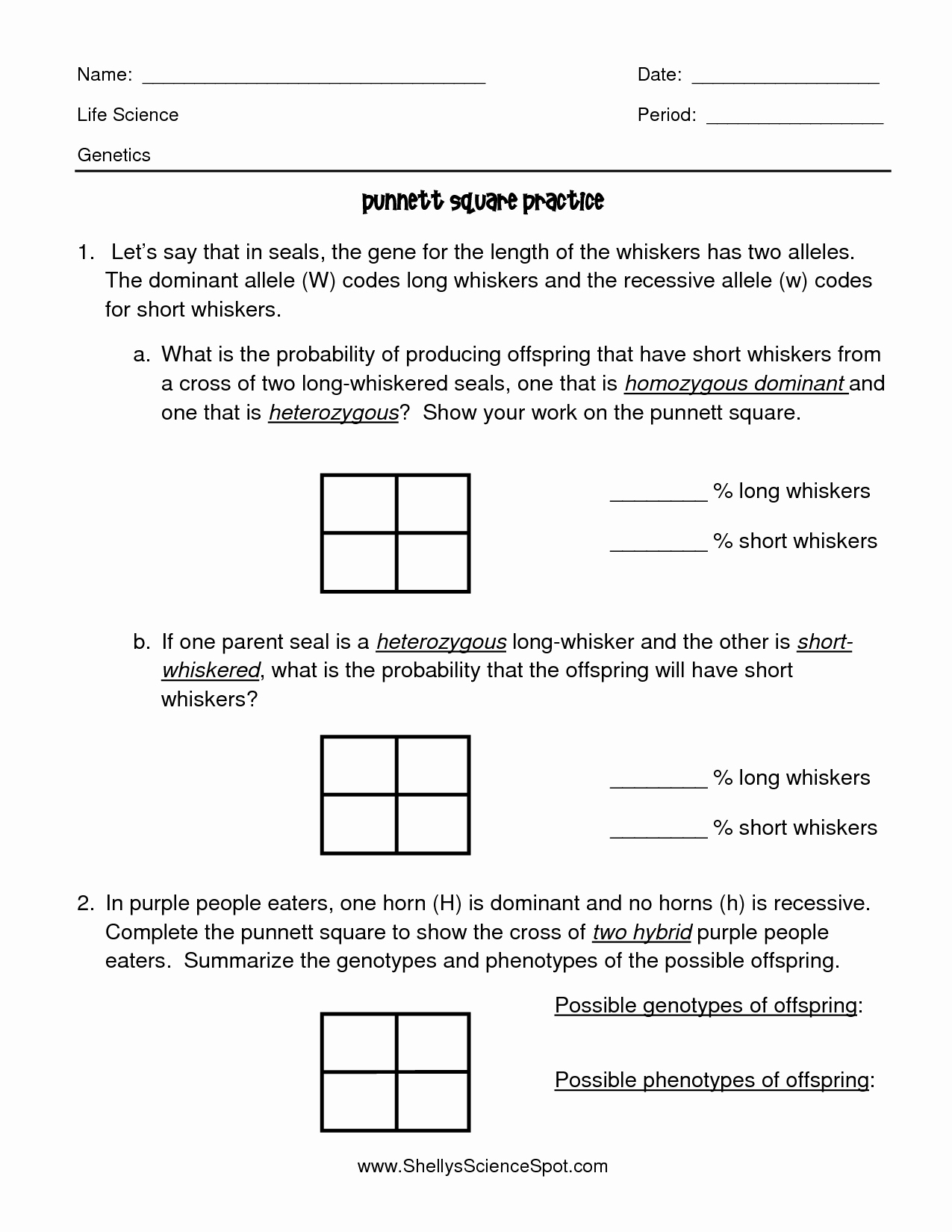 Life Science Genetics Punnett Square Practice