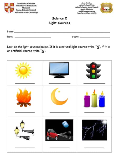 Light Through Objects Worksheet Education Com Worksheets Library