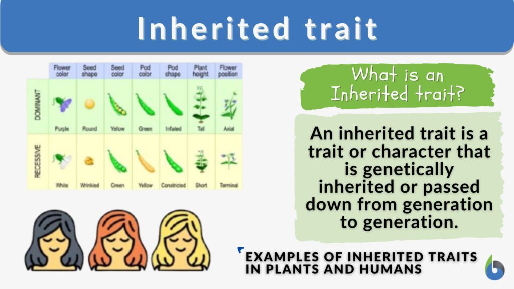 List 5 Traits That Are Inherited