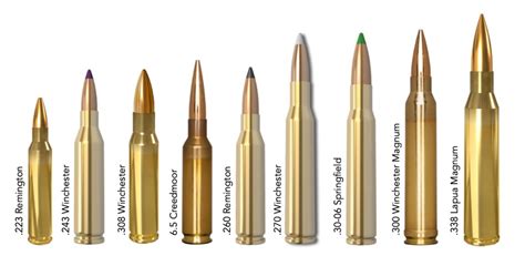 Long Range Rifle Calibers for Precision Shooting