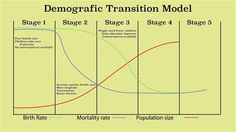 Look At The Diagram Of The Demographic Transition Model Demo