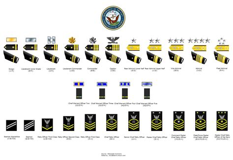 5 Lowest Naval Officer Ranks Revealed