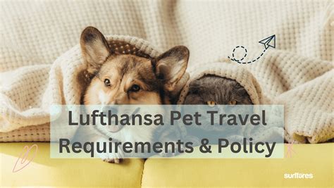 Lufthansa Pet Policy Guide