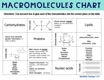 Macromolecules Chart Activity Biology Activity Biology Units Ap Biology Science Biology