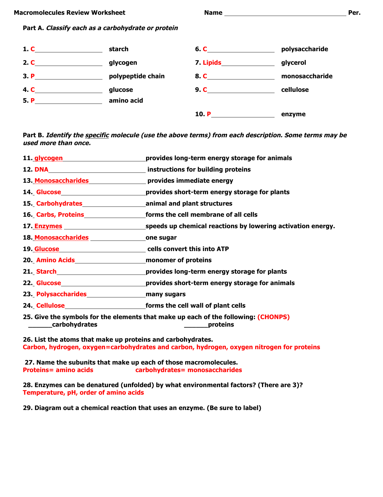 Macromolecules Review Worksheet Answer Key Db Excel Com