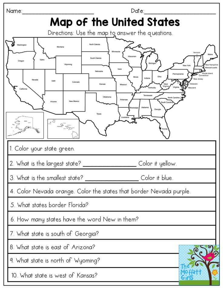 Map Of The United States Answer The Questions This November No Prep Packet For 3Rd G Social