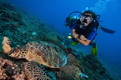 Life as a Marine Biologist: Challenges and Rewards