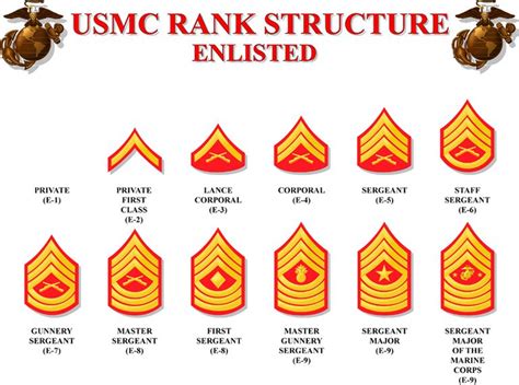 Marine Corps Enlisted Rank Structure Explained