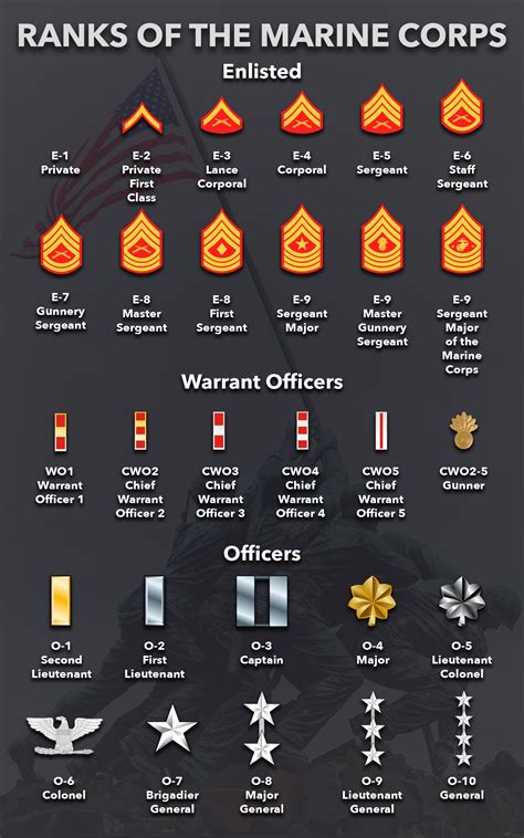 Marine Corps Officer Ranks Diagram Quizlet