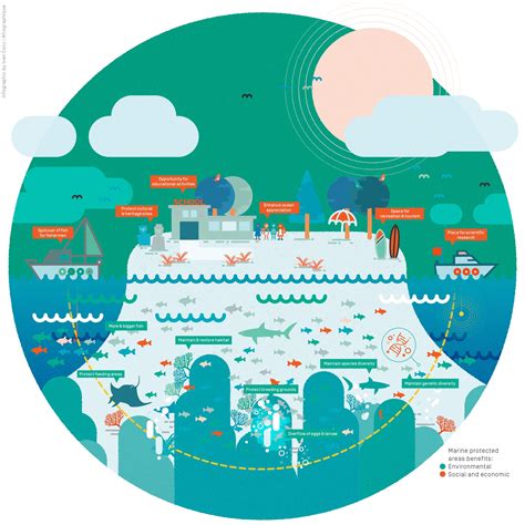 Marine Protected Area Infographic Save Our Seas Magazine