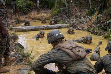 Marines Retooling Infantry Training For Complex Warfare In Pacific