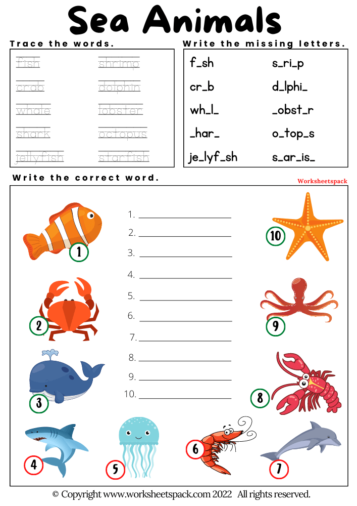 Math Game Worksheet With Sea Animals And Fish Stock Vector Image Amp Art Alamy