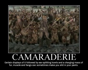 Meaning Of Camaraderie