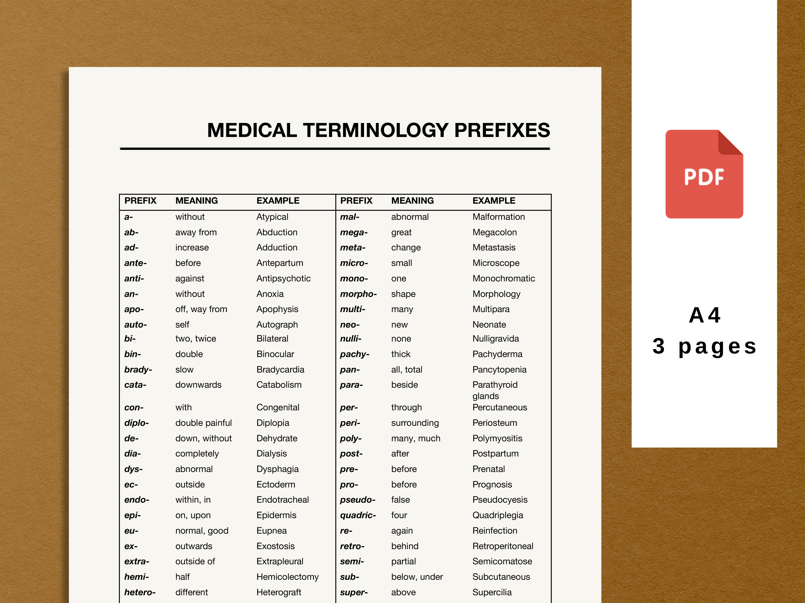 Medical Terminology Can Be A Lot To Learn However Building A