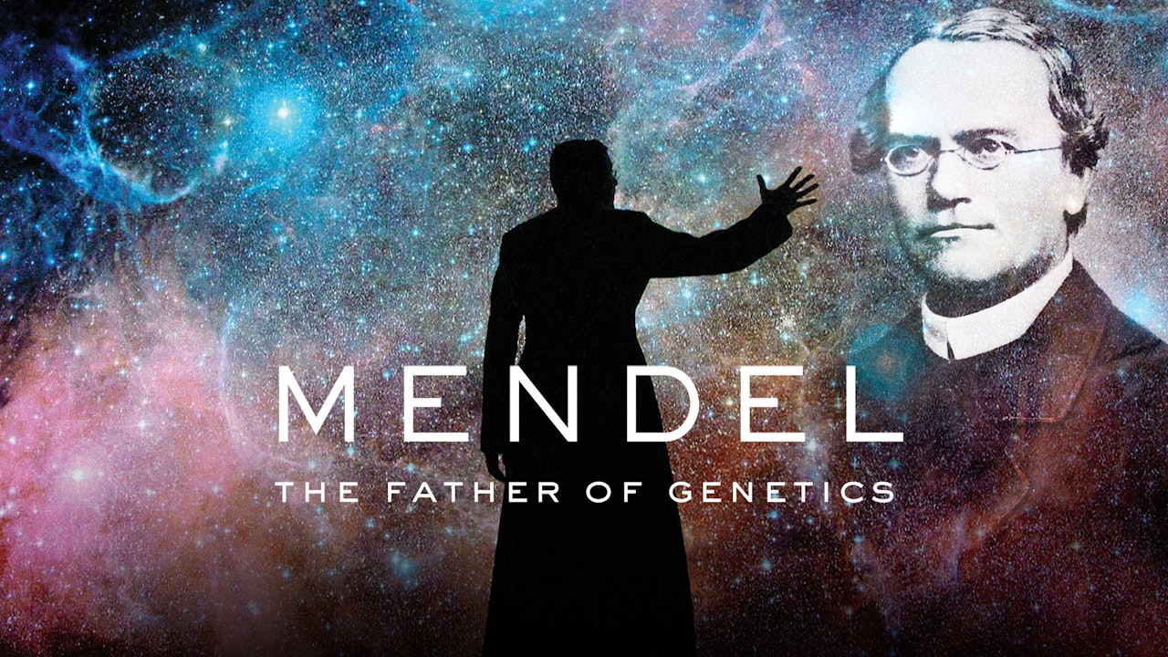 Mendel The Father Of Genetics Science Learning Hub