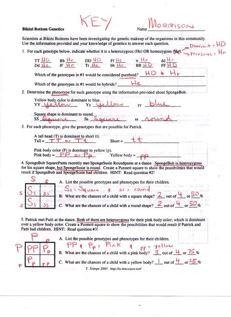 Mendelian Genetics Answer Sheet