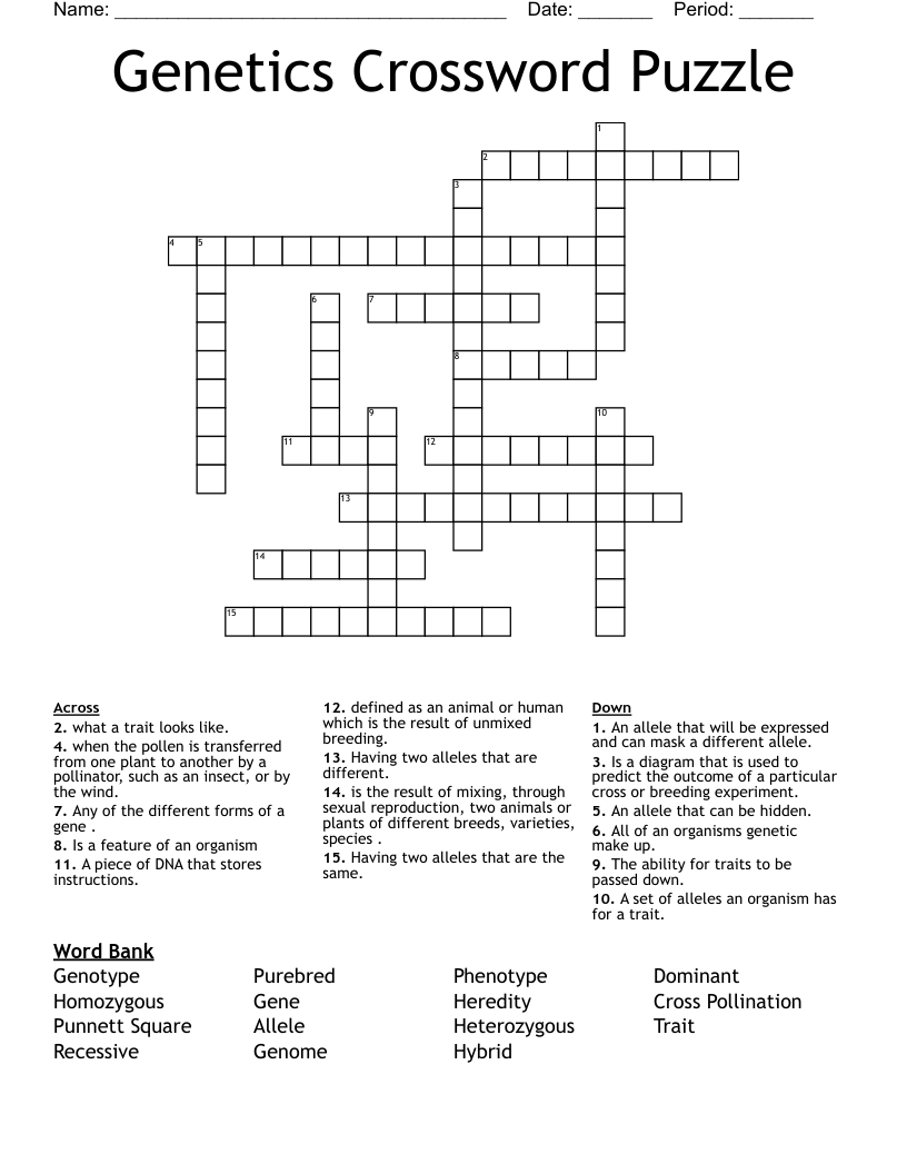 Mendelian Genetics Crossword Puzzle