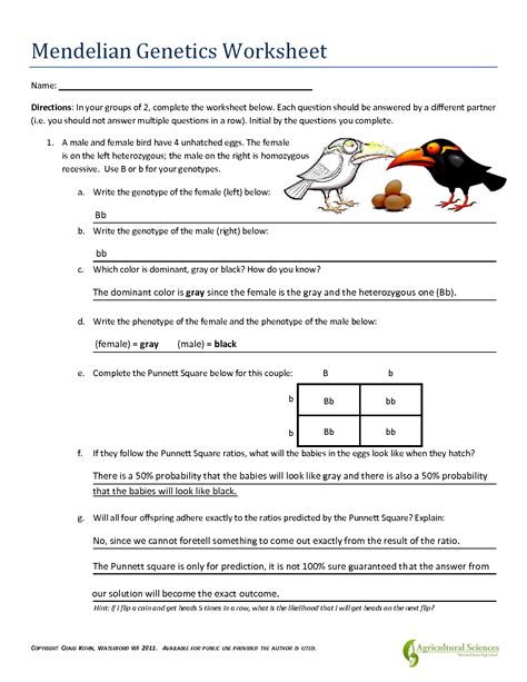 Mendelian Genetics Problems Worksheet