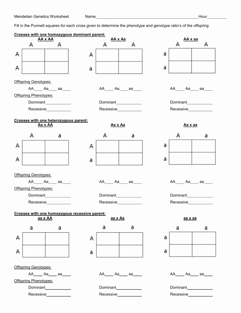 Mendelian Genetics Punnett Square Worksheet Answer Key Thekidsworksheet