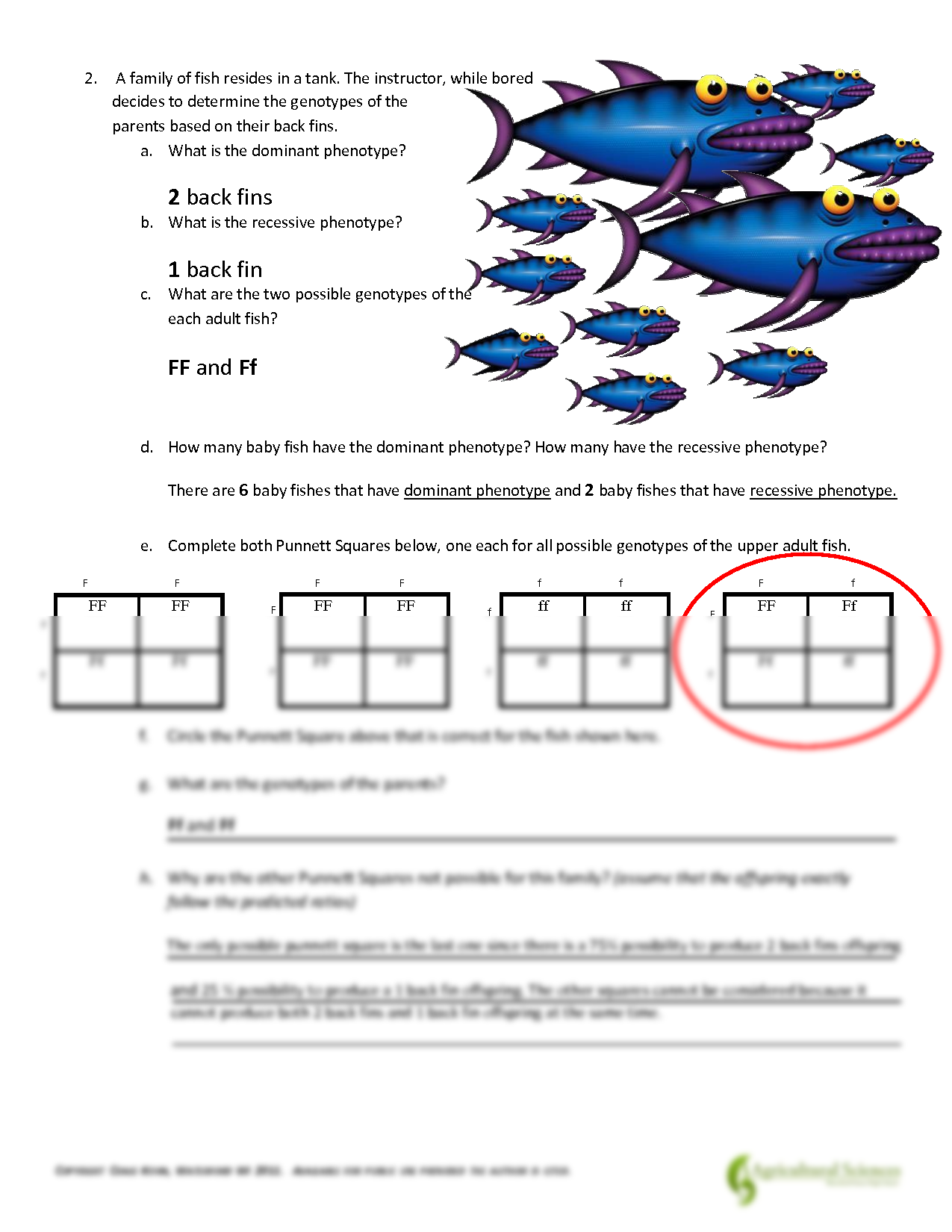 Mendelian Genetics Worksheet Mendelian Genetics Worksheet 1 Pedigrees A