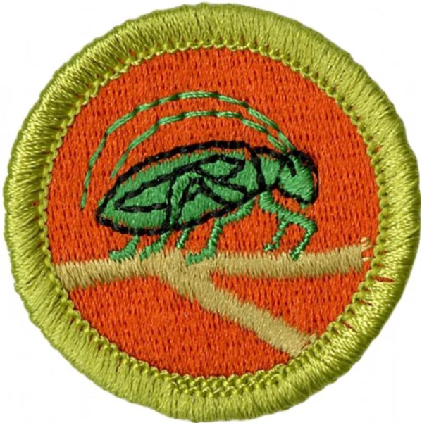 Merit Badge Sessions Insect Study Spring Creek Greenway Nature Center