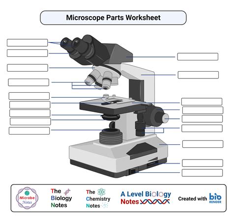 Microscope Parts Worksheet Guide