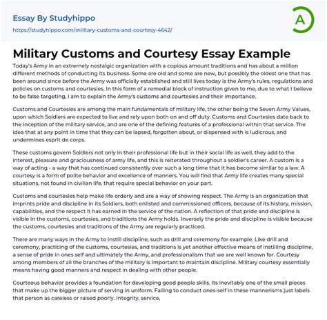 Military Customs And Courtesy Essay Example Studyhippo Com