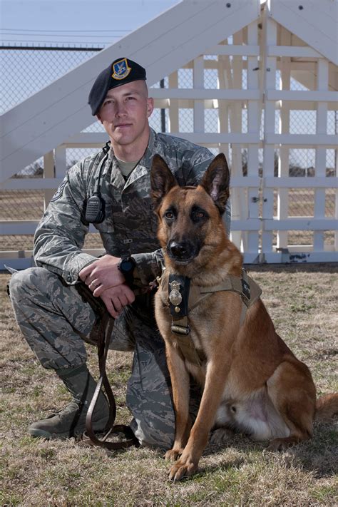 Military Dog Handler Careers in the US Air Force