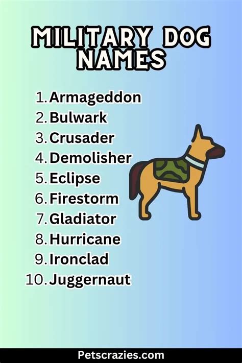 Military Dog Names Inspiration