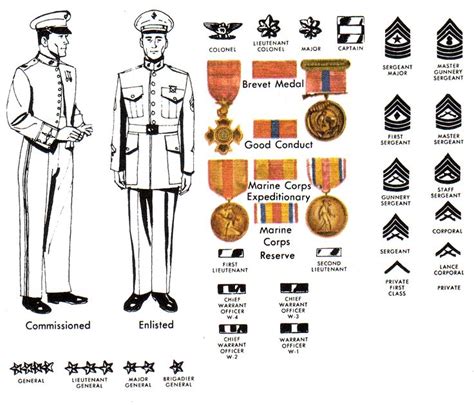 Minivan Rankings Marine Corps Officer Rank Abbreviations