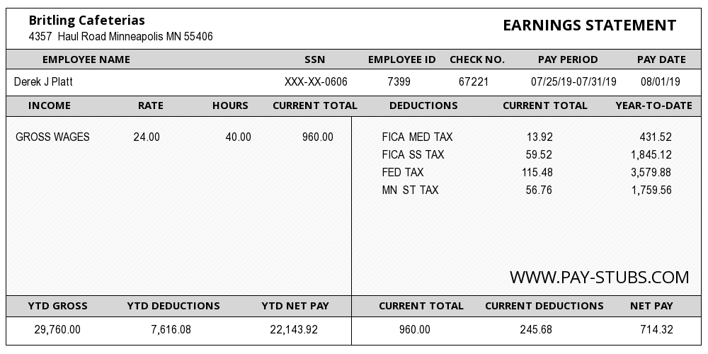 Minnesota Paystub Generator