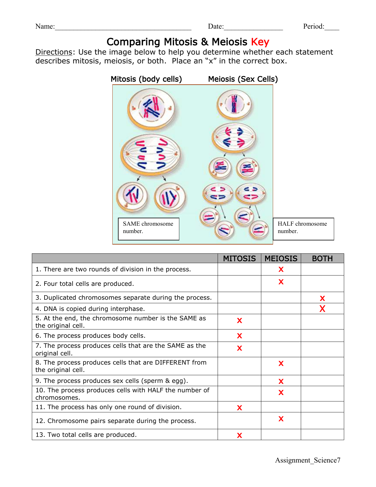 Mitosis And Meiosis Comparison Worksheets