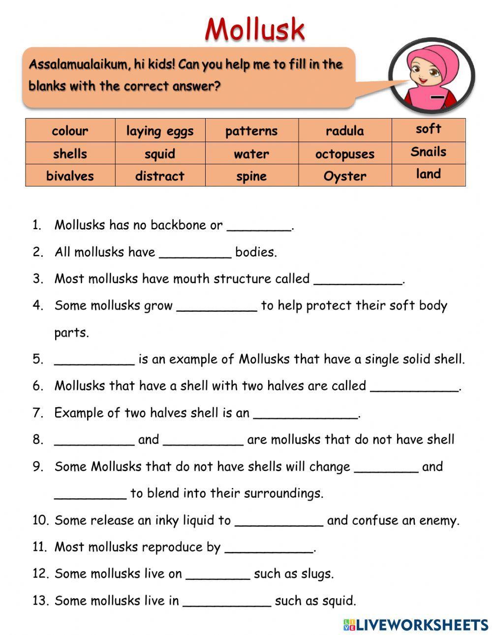 Mollusks Arthropods And Echinoderms 6Th Grade Science Worksheets Worksheets Library