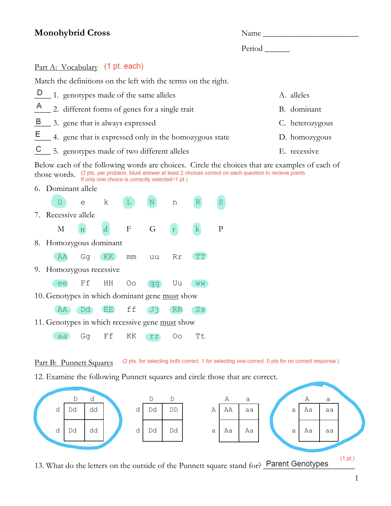 Monohybrid Cross Worksheet By Samantha Matthews Tpt