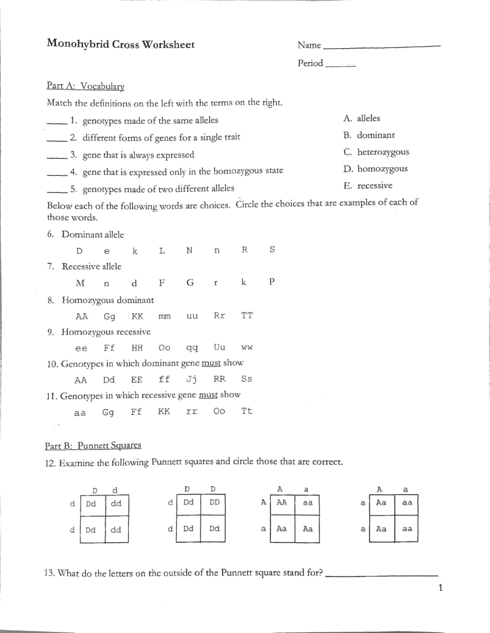 Monohybrid Cross Worksheet Heather E Fussell Library Formative