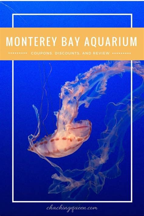 Monterey Bay Aquarium Coupons Discounts And Review