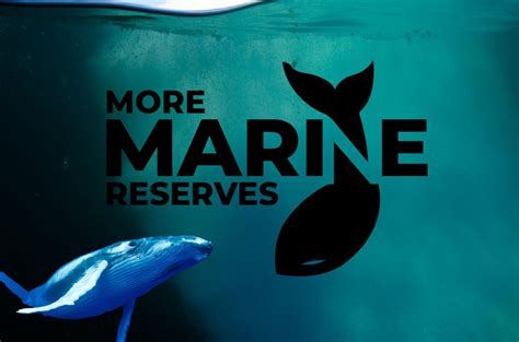 More Marine Reserves Our Seas Our Future