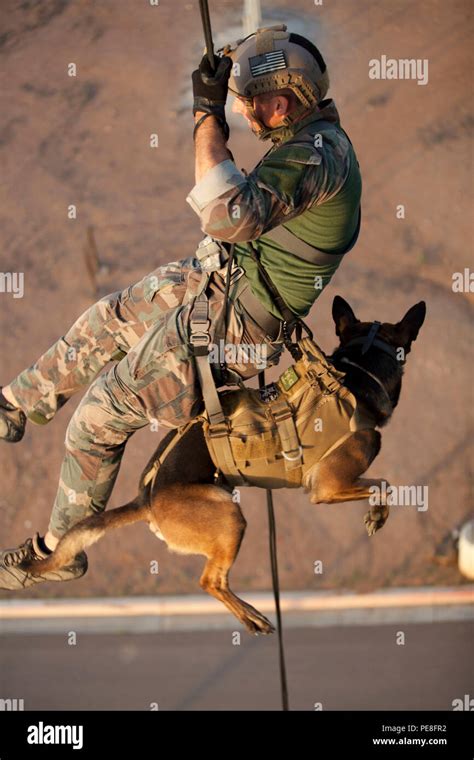 Msob Multi Purpose Canine Rappelling Hi Res Stock Photography And Images Alamy