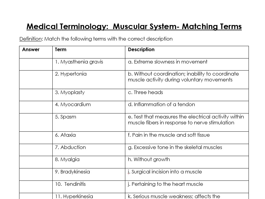 Muscular System Building A Medical Terminology Foundation