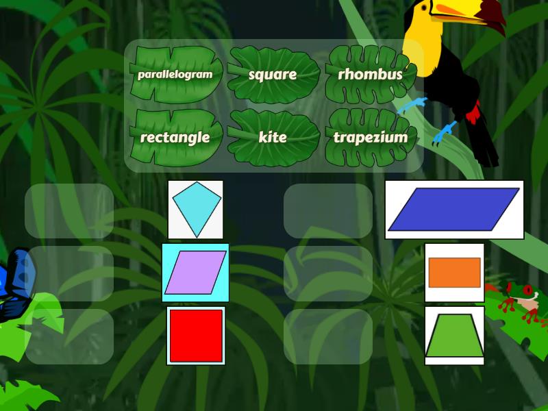 Naming Quadrilaterals Match Up