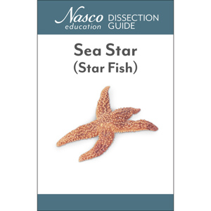 Nasco S Dissection Guide For The Starfish Starfish Dissection Guide