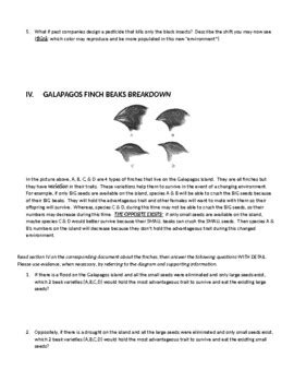 Natural Selection Evolution Scenarios And Questions By Laura Choma