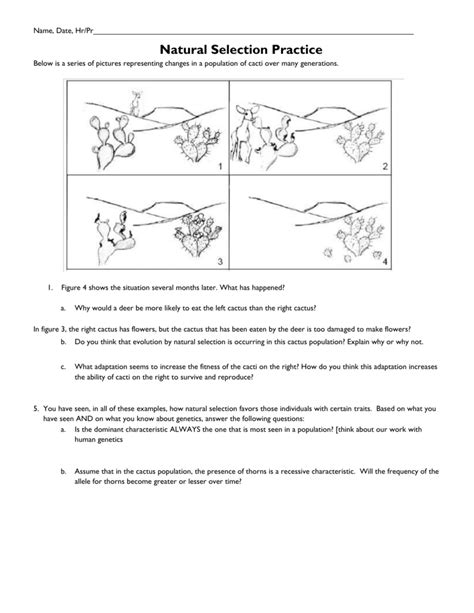 Natural Selection Scenarios Worksheet Free Download Gmbar Co