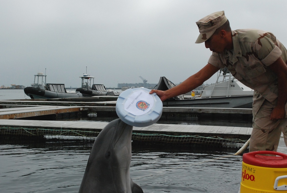 Navy Marine Mammal Program Jobs