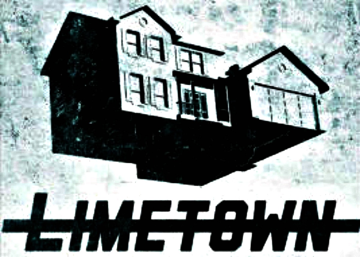 New Series Facebook Watch Series Limetown About Missing 300 To Film In