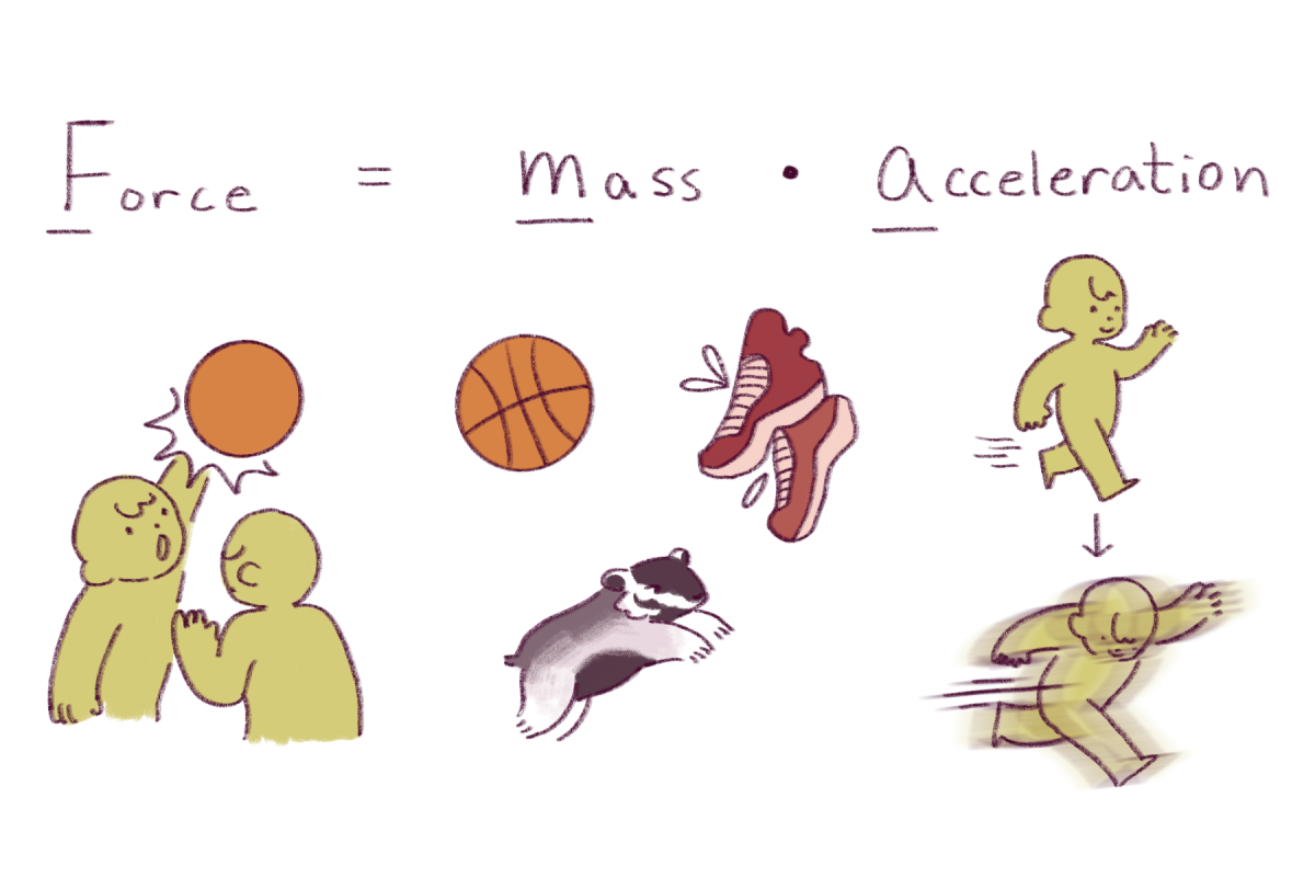 Newton S Second Law Of Motion 20 Examples How To Use