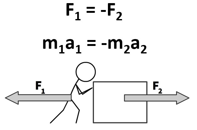 Newton S Third Law Explained Simply