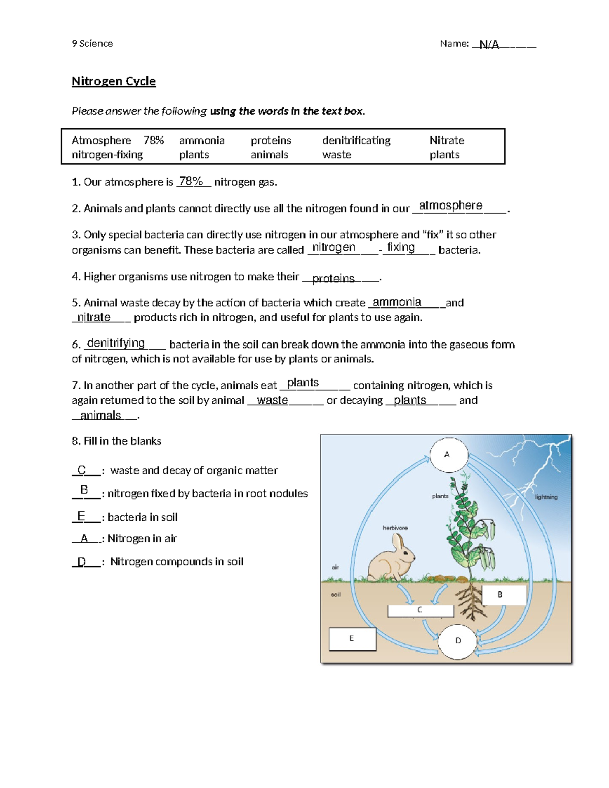 Nitrogen Cycle Worksheet 9 Science Name Nitrogen Cycle Please Answer The