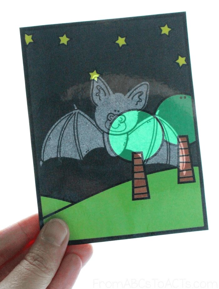 Nocturnal Animal Flashlight Cards From Abcs To Acts Nocturnal