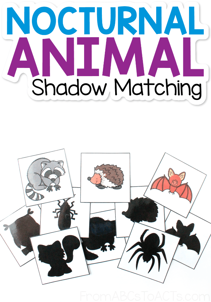 Nocturnal Animals Printable Pack Simple Living Creative Learning